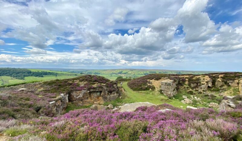 From London: The North York Moors with Steam Train to Whitby - Returning Through the Moors to York and London