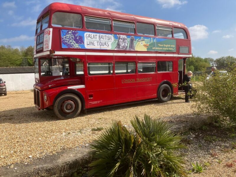 From London: Vintage Bus Wine Tour with Return Train Tickets - First Vineyard Visit: Guided Tour and Tastings