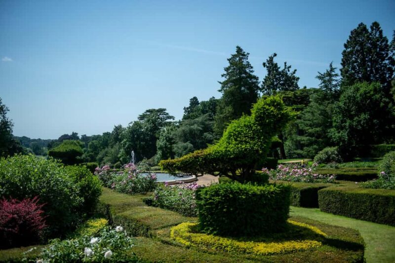 From London: Warwick Castle Day Trip by Rail - Review Insights on the Experience and Logistics