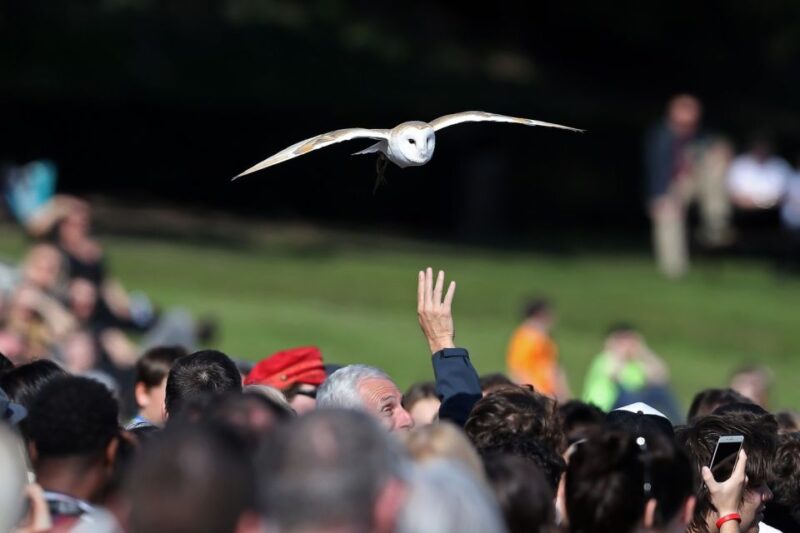 From London: Warwick, Oxford, Stratford & Cotswolds Day Tour - Pacing and Duration of the Tour