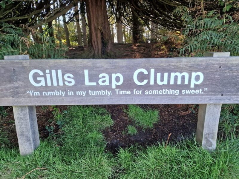 From London: Winnie-the-Pooh's Hundred Acre Wood Day Tour - Key Points