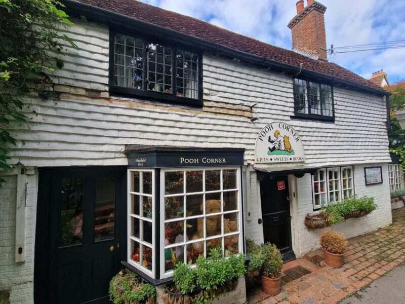 From London: Winnie-the-Pooh's Hundred Acre Wood Day Tour - Iconic Pooh Bridge and Pooh Sticks Game