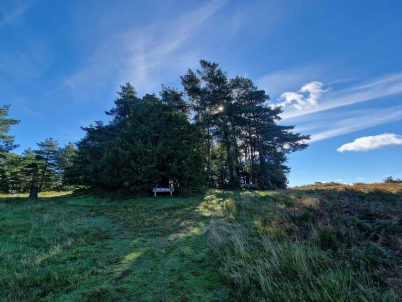 From London: Winnie-the-Pooh's Hundred Acre Wood Day Tour - Physical Requirements and Accessibility