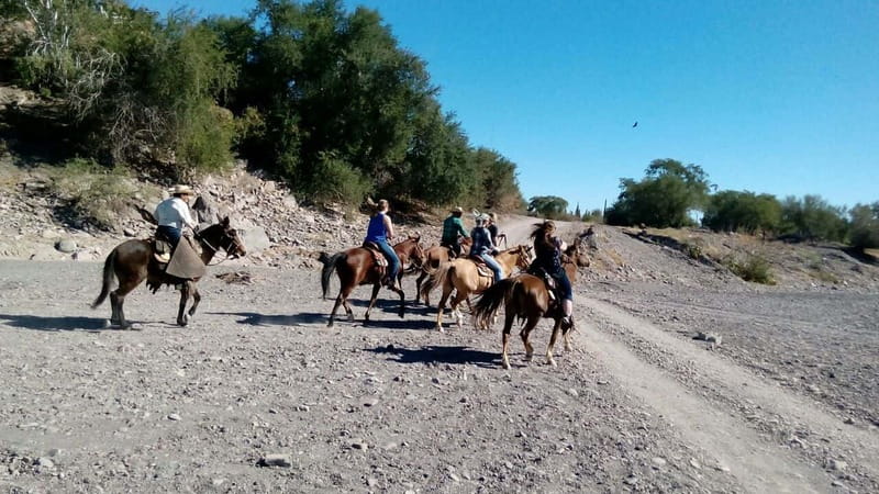 From Loreto: Baja Desert Horseback Riding Tour - Key Points