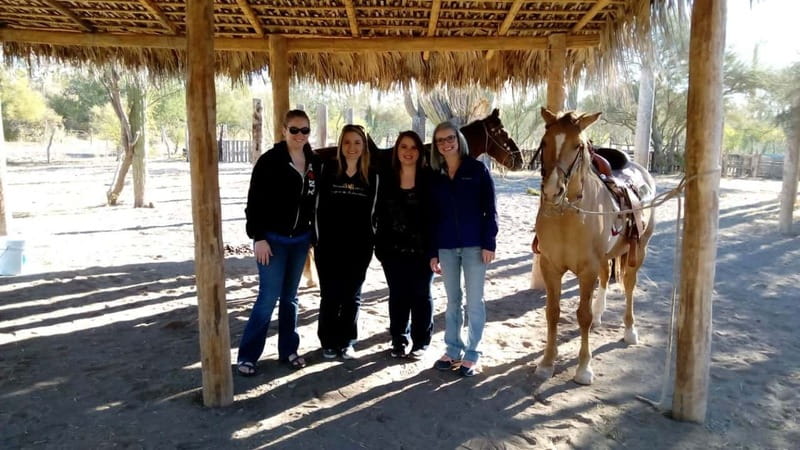 From Loreto: Baja Desert Horseback Riding Tour - Scenic Ride Through Bajas Colorful Landscapes