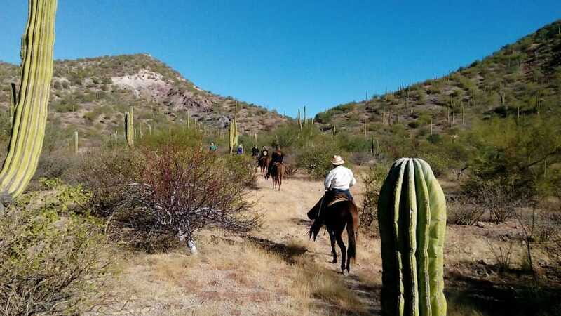 From Loreto: Baja Desert Horseback Riding Tour - What the Tour Includes and Practical Tips