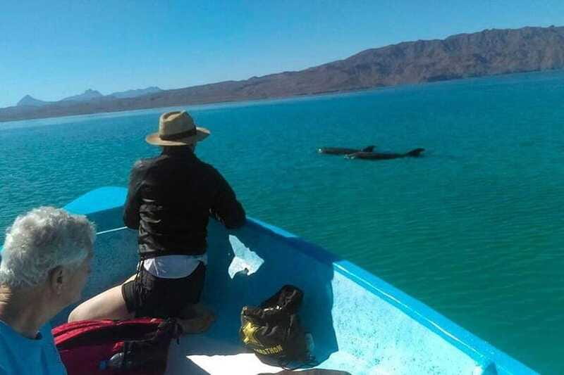 From Loreto: Coronado Island, Sea Lions and Snorkeling Tour - The Experience Provider: Next Experience Travel