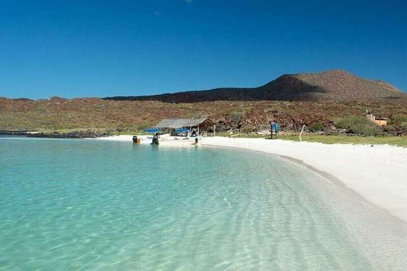 From Loreto: Coronado Island, Sea Lions and Snorkeling Tour - Review Highlights and Personal Experiences