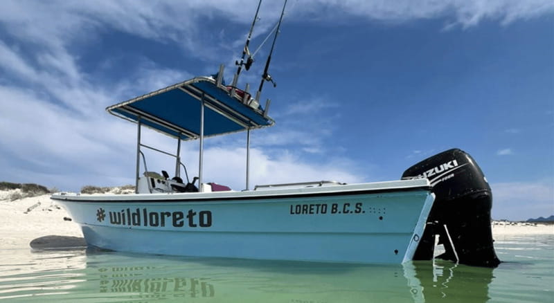 From Loreto: Coronado Island Snorkel - Snorkeling in Turquoise Waters