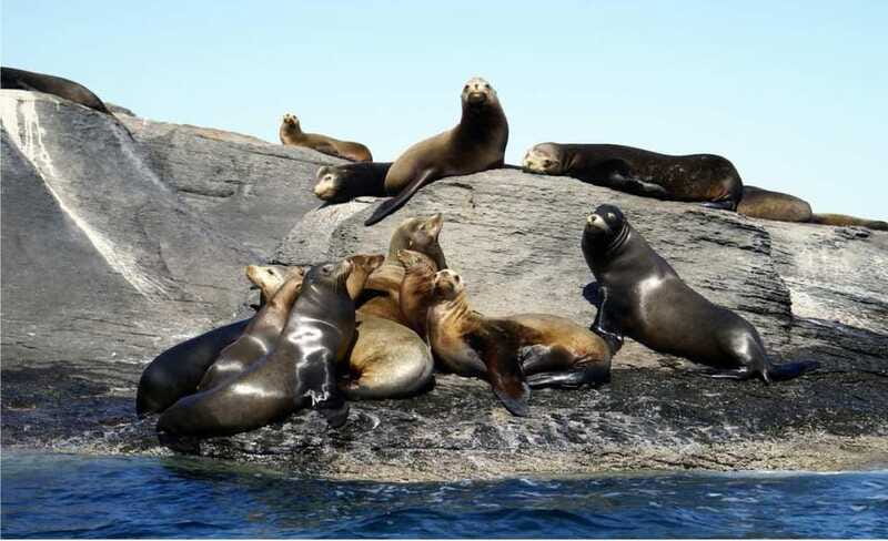 From Loreto: Coronado Island Snorkel - The Hike and Ocean Views from 1000 Feet Up