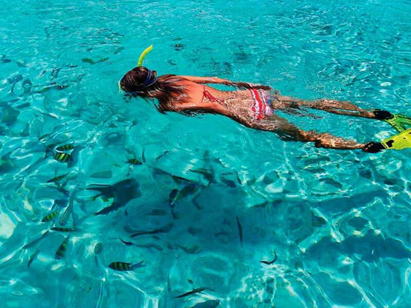 From Loreto: Snorkeling Catamaran Cruise - Explore Loreto’s Islands on a Snorkeling Catamaran for $105