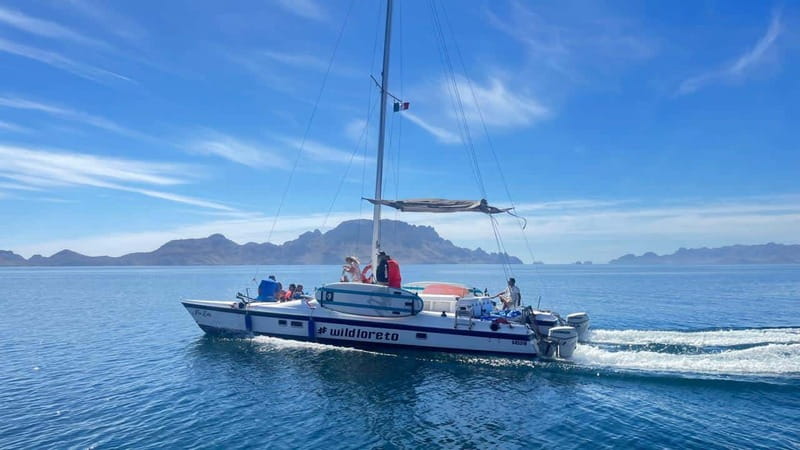 From Loreto: Snorkeling Catamaran Cruise - Key Points