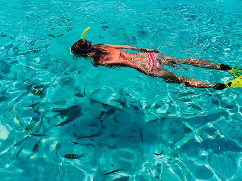From Loreto: Snorkeling Catamaran Cruise - Snorkeling in Crystal Clear Waters of Loreto Islands