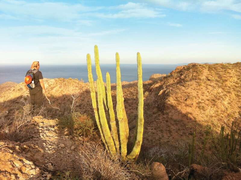 From Loreto: Tabor Canyon Guided Hike - Key Points