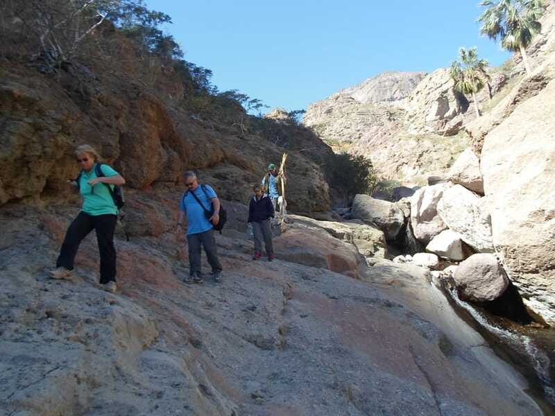 From Loreto: Tabor Canyon Guided Hike - Local Guides and Their Ecological Insights