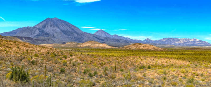 From Los Cabos: City Tour La Paz, Balandra and Todos Santos - Key Points