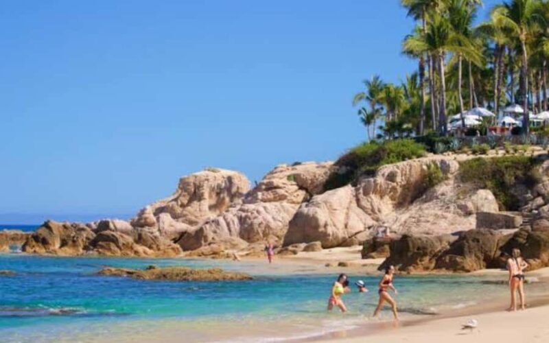 From Los Cabos: La Palmilla Beach Time & Drinks - Key Points