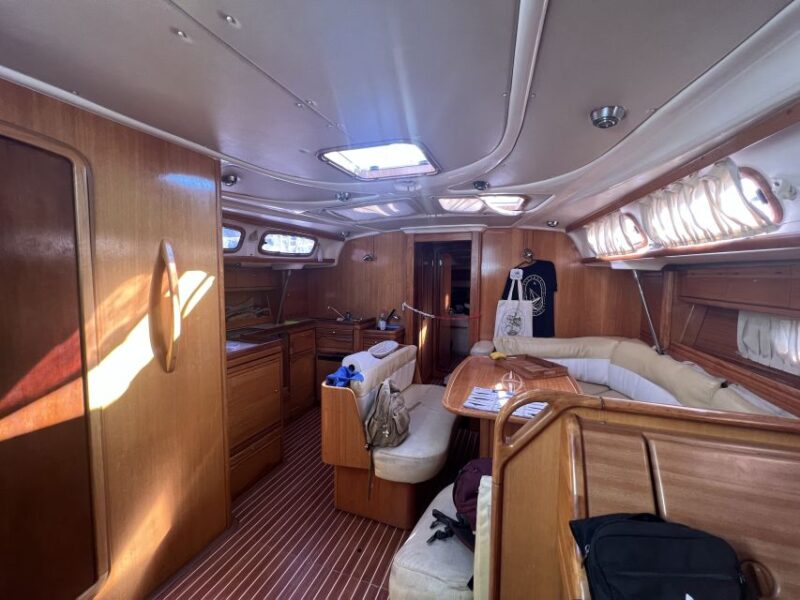 From Los Gigantes: Whale Watching Sailboat Cruise - From Los Gigantes: An Expert-Led Whale Watching Sailboat Experience