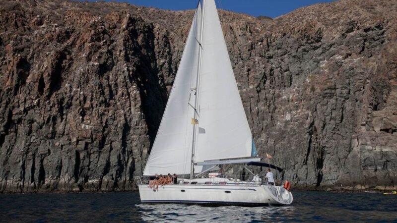 From Los Gigantes: Whale Watching Sailboat Cruise - Snorkeling Near the Cliffs and Marine Life Encounters