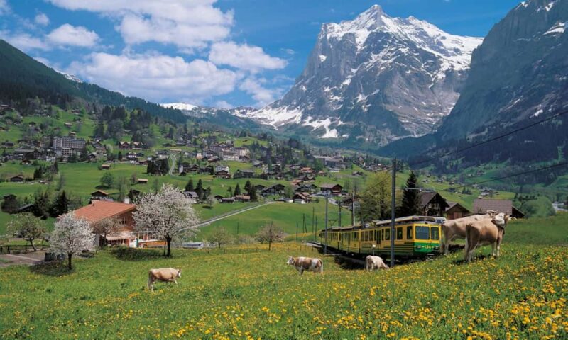 From Lucerne: Swiss Alps, Lauterbrunnen & Beatus Caves Tour - Logistics and Group Experience