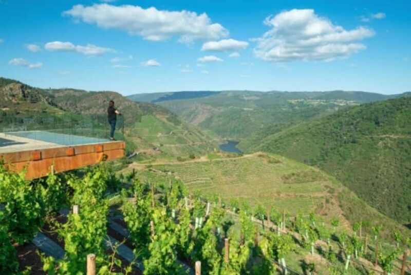 From Lugo: Half day excursion to Ribeira sacra - Discover the Charm of Ribeira Sacra in a Half-Day Excursion from Lugo