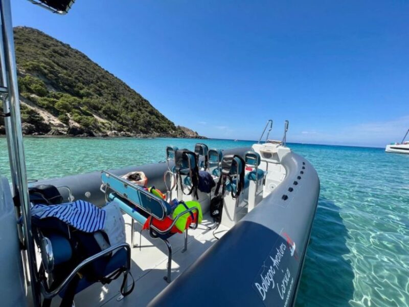 From Lumio: Les Agriates Desert Cruise with swimming - Embarking from Sant-Ambroggio to Corsica’s Hidden Beaches
