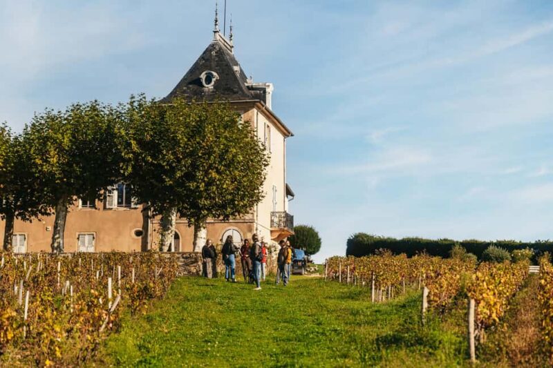 From Lyon: Beaujolais Wine Tour with Tastings - Scenic Beaujolais Landscape and Appellations