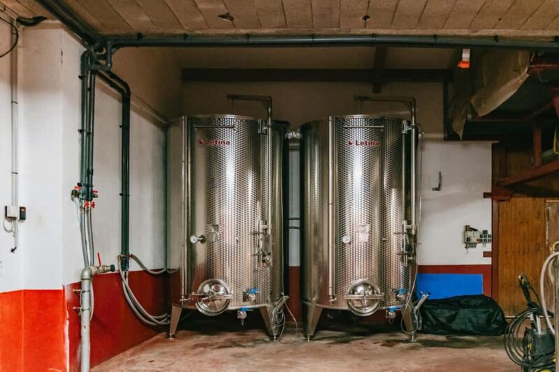 From Lyon: Golden Stones Beaujolais Wine Tasting Tour - Wine Tasting at the Vineyards and Wineries