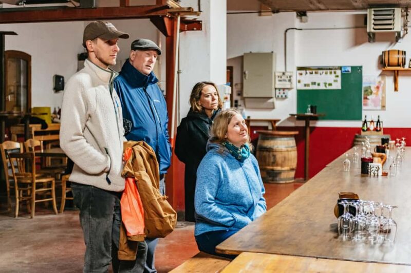 From Lyon: Golden Stones Beaujolais Wine Tasting Tour - Physical Requirements and Accessibility