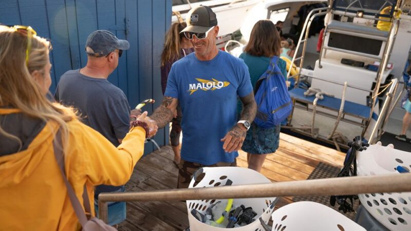 From Ma'alaea: Afternoon Whale Watch Tour Aboard the Malolo - Convenient Departure from Maalaea Harbor