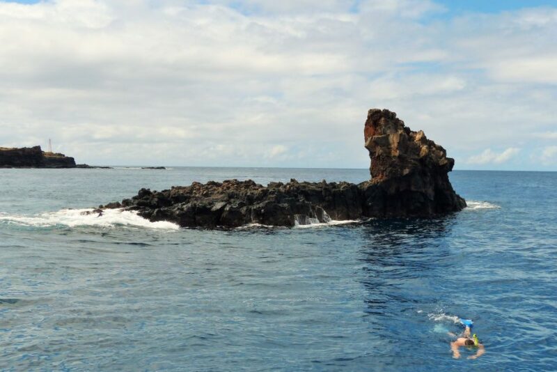 From Ma'alaea: AM Turtle Town Snorkel Aboard Quicksilver - Snorkeling at Turtle Town and Coral Gardens
