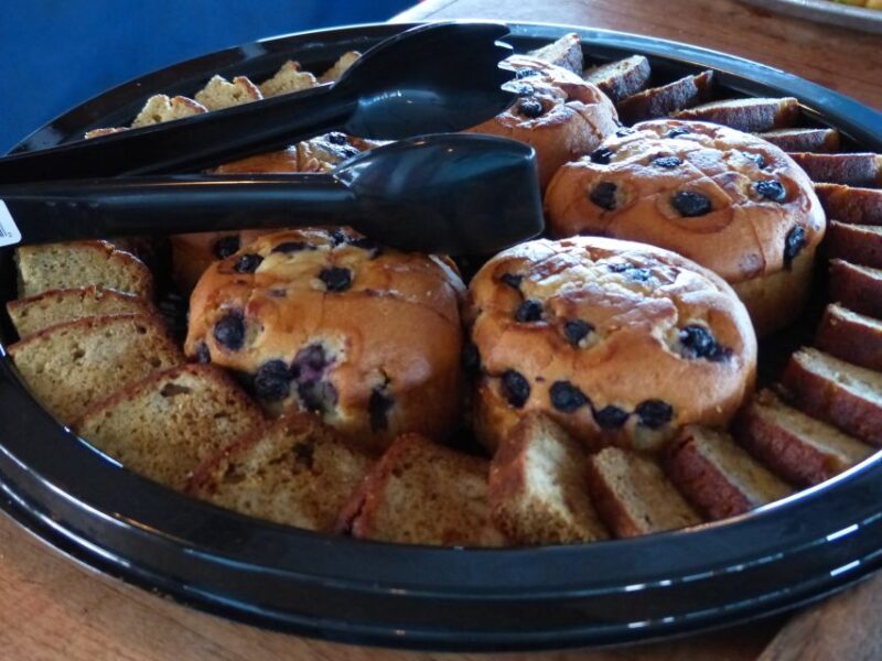 From Ma'alaea: AM Turtle Town Snorkel Aboard Quicksilver - Suitability for Different Travelers