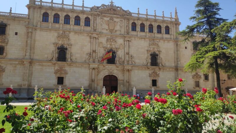 From Madrid: Alcalá de Henares & Cervantes Museum Day Trip - The Magisterial Cathedral and the Child Martyrs