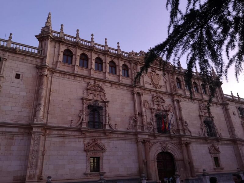 From Madrid: Alcalá de Henares, Winery Tour & Wine Tasting - Wine Tasting and Winery Tour Experience