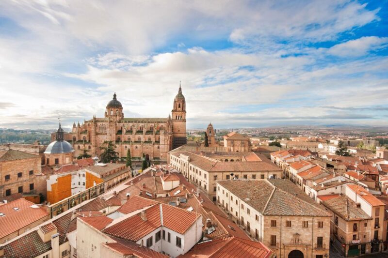 From Madrid: Ávila and Salamanca Guided Day Trip - Physical Considerations and Accessibility