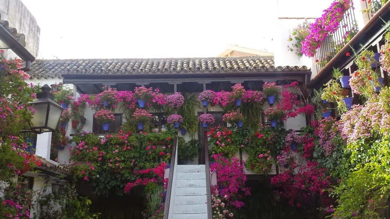 From Madrid: Cordoba and Mosque Day Trip by High-Speed Train - Returning to Madrid via High-Speed Train