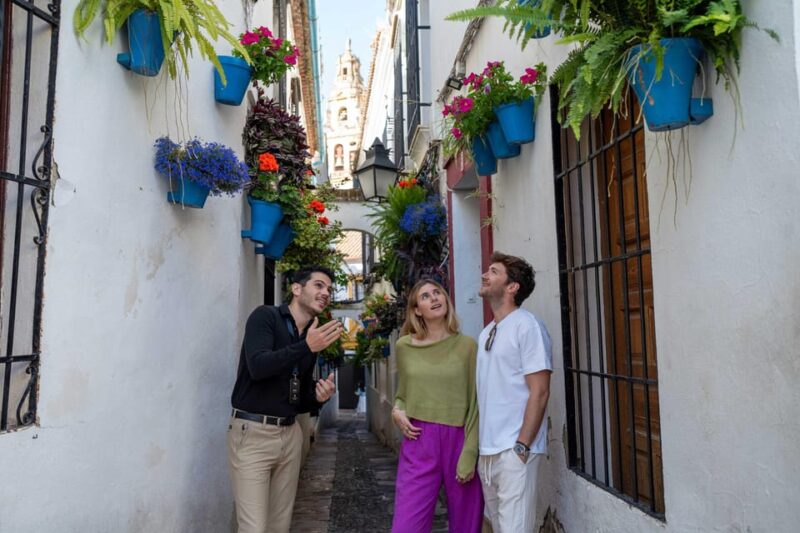 From Madrid: Córdoba Day Tour by Train - Key Points