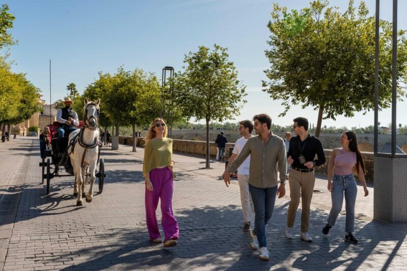 From Madrid: Córdoba Day Tour by Train - Frequently Asked Questions