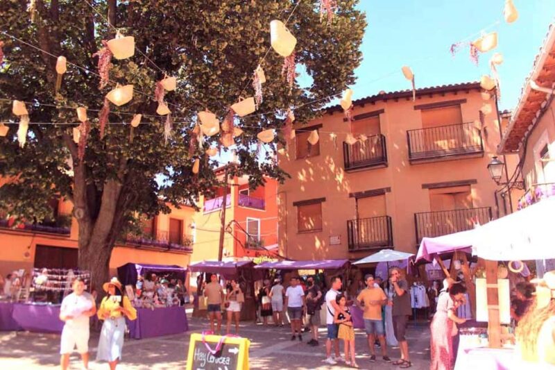 From Madrid: Day Trip to Brihuega Lavender Fields - Key Points