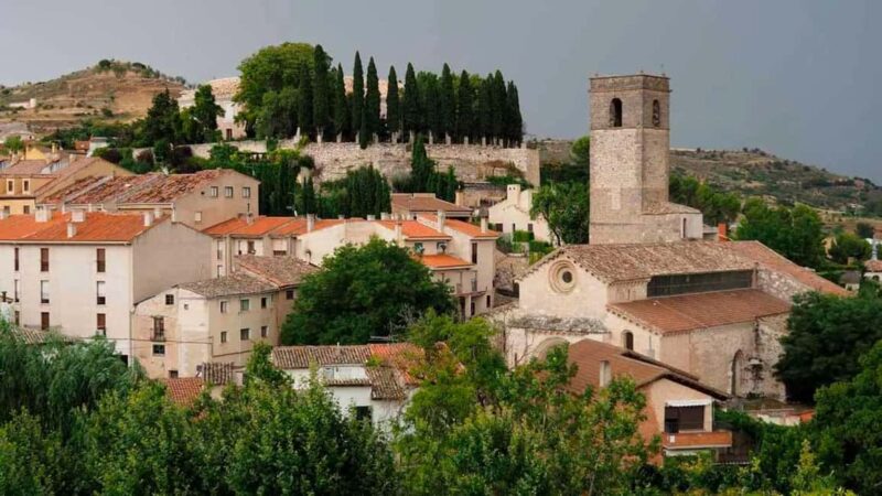 From Madrid: Day Trip to Brihuega Lavender Fields - Perfect for Lavender Enthusiasts and History Buffs