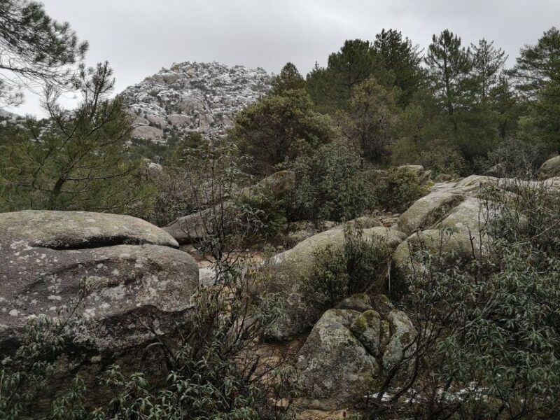 From Madrid: Day Trip to Guadarrama National Park - Marveling at Mirador de las 6 Panorámicas