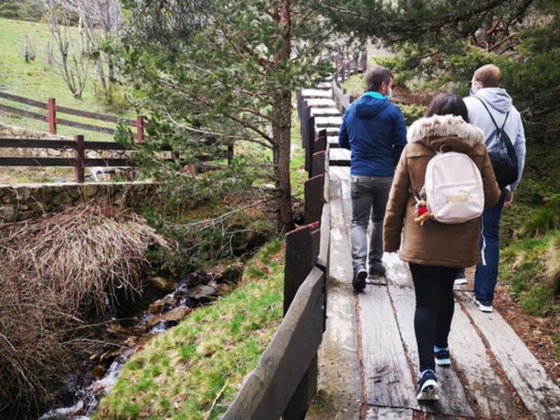 From Madrid: Guadarrama National Park Private Tour - The Return Journey and Final Drop-off