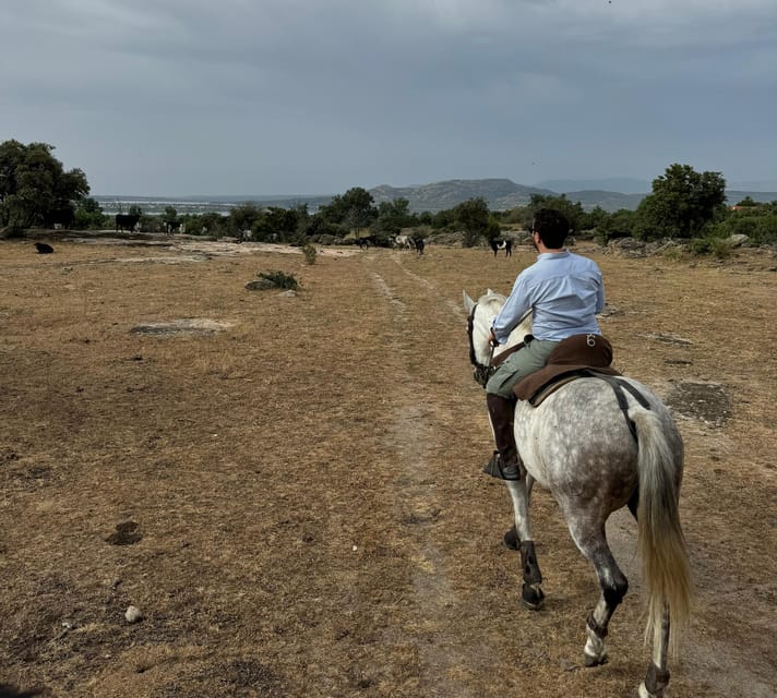 From Madrid: Horseback riding Experience - Discover Madrid from a New Perspective with a Horseback Riding Experience