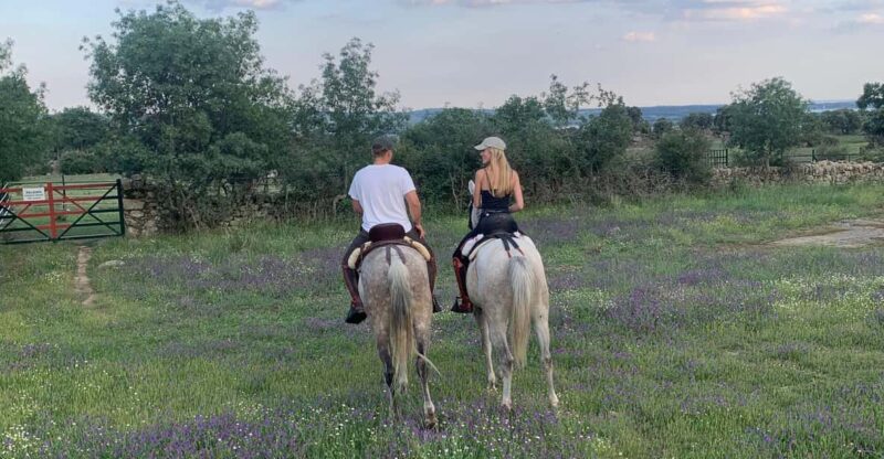 From Madrid: Horseback riding Experience - Key Points