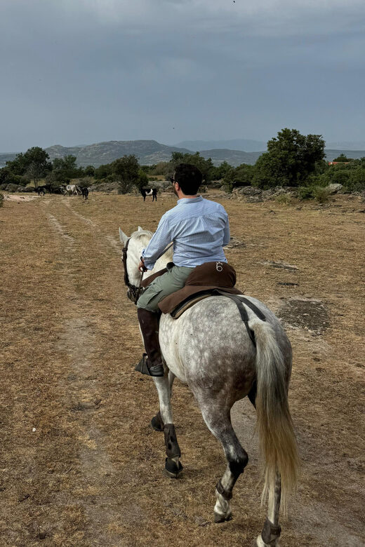 From Madrid: Horseback riding Experience - Visiting Manzanares el Real Castle: A Cultural Stop