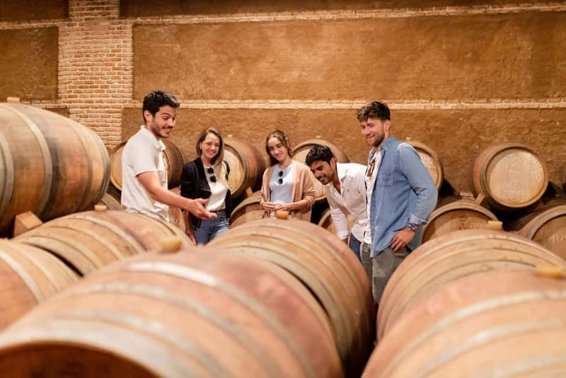 From Madrid: Segovia, Avila & Toledo with Winery in 2 days - Vineyard Visit in La Mancha with Guided Wine Tasting