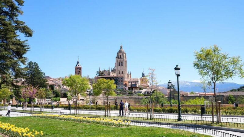 From Madrid: Segovia Tour with Cathedral and Alcazar Entry - Accessibility and Suitability