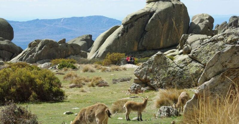 From Madrid: Sierra de Guadarrama Hiking Day Trip - Explore Madrid’s Nearby Wilderness on a Guided Sierra de Guadarrama Hiking Trip