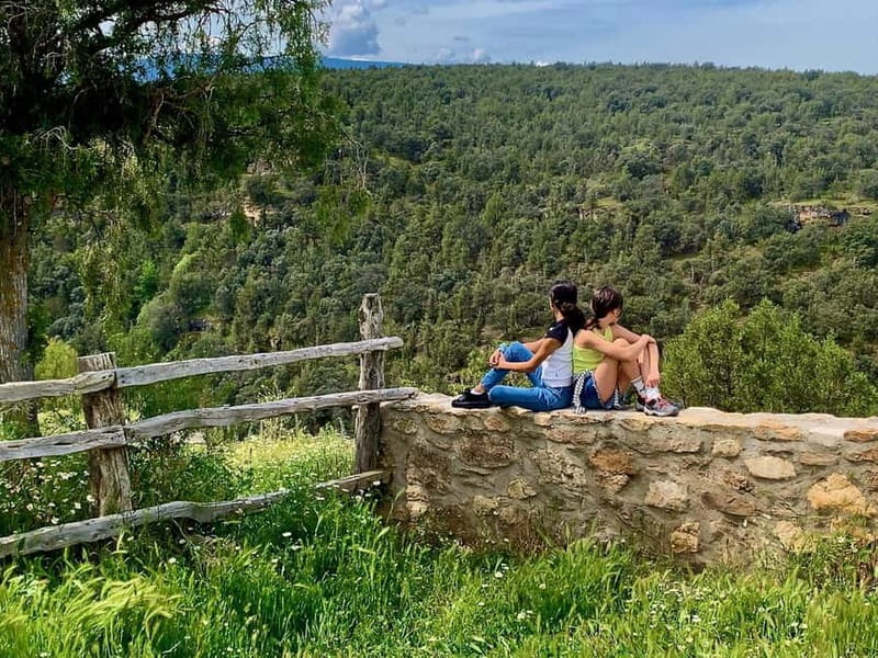 From Madrid: Travel through medieval Spain in Toledo and Segovia - Summary of the Experience