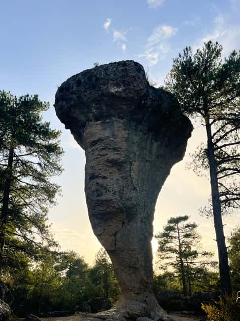 From Madrid: Trip to Cuenca and the Brihuega Lavender Fields - From Madrid to Castile-La Mancha: The Journey